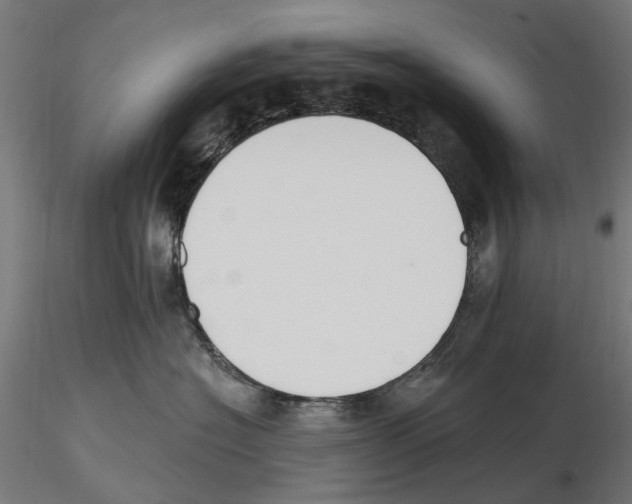 X0000116510574201001061225