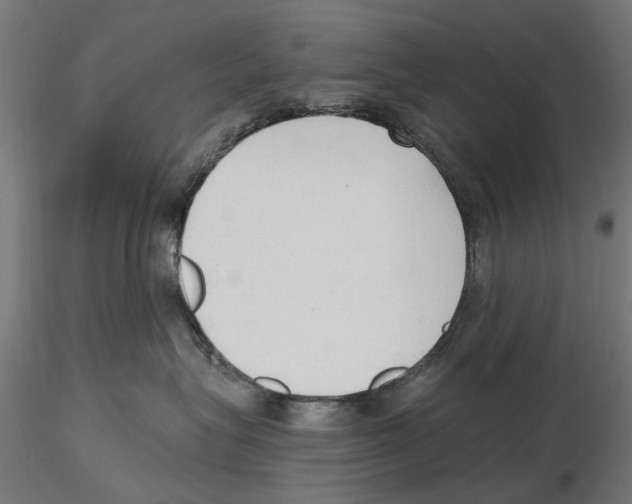 X0000116510575201001061225