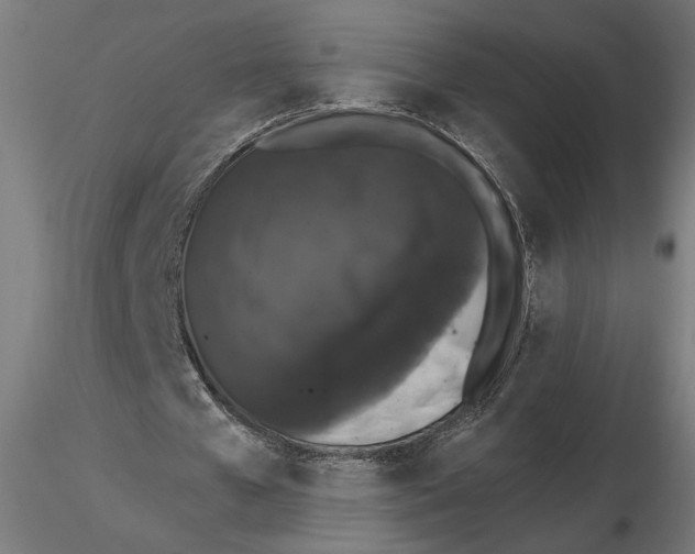 X0000116510577201001061225