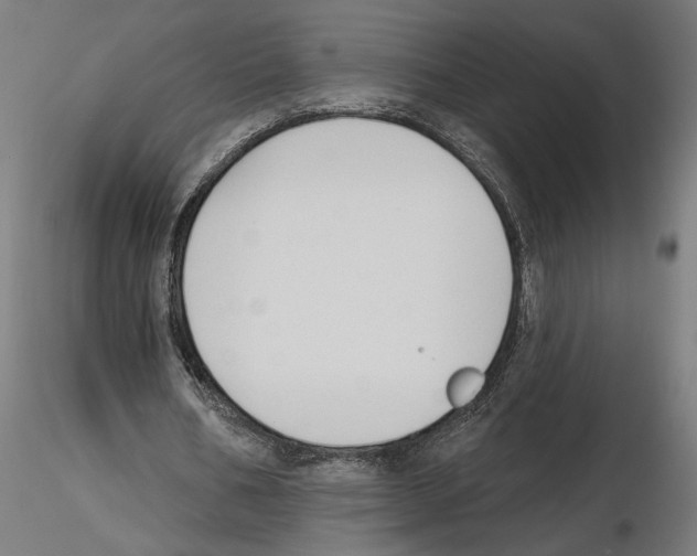 X0000116510578201001061225