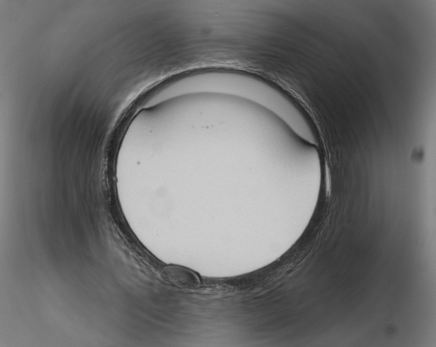 X0000116510579201001061225