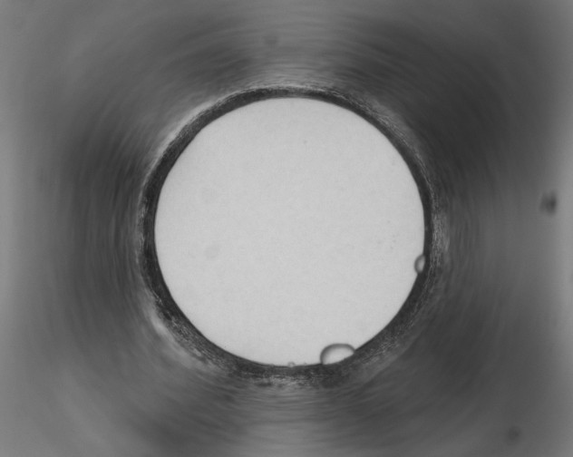 X0000116510580201001061225