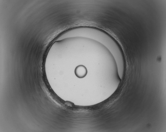 X0000116510581201001061225