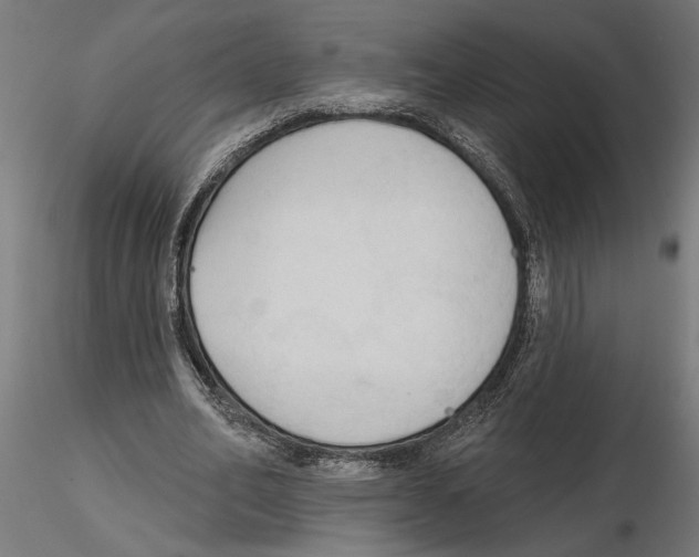 X0000116510582201001061225
