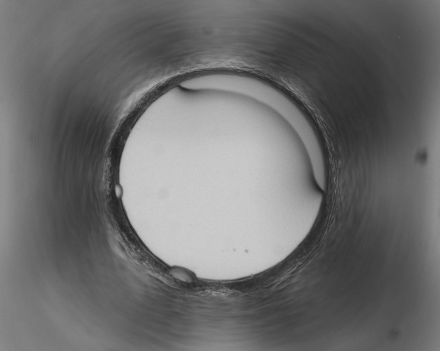 X0000116510583201001061225