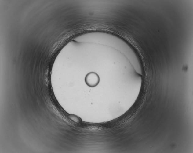 X0000116510585201001061225
