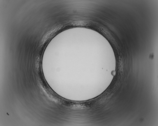 X0000116510586201001061225