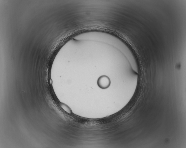 X0000116510589201001061225