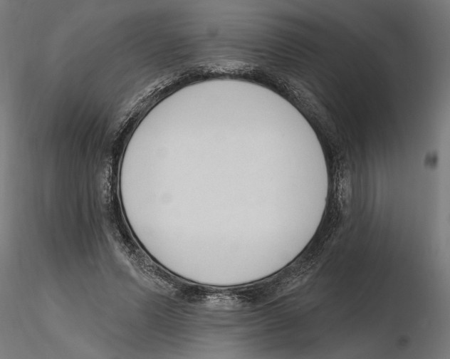 X0000116510591201001061225