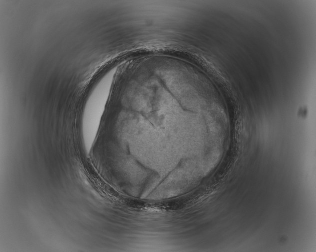 X0000116510592201001061225