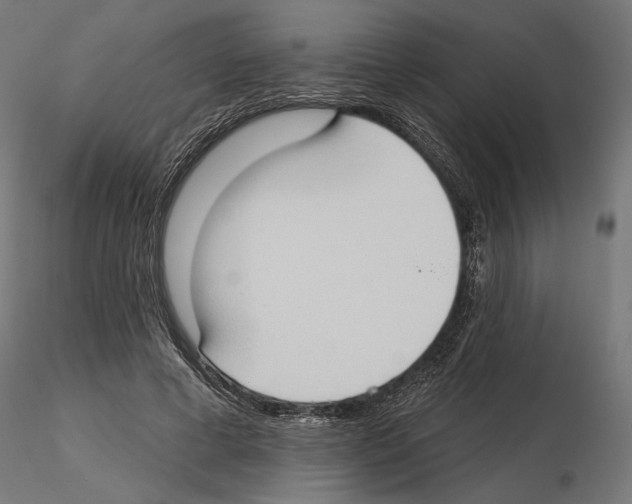 X0000116510593201001061225