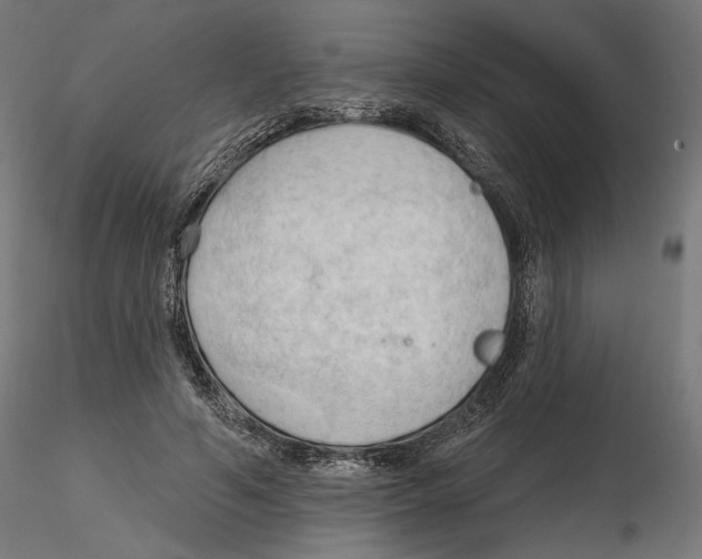 X0000116510594201001061225