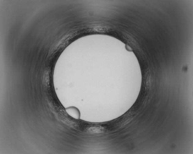 X0000116510595201001061225