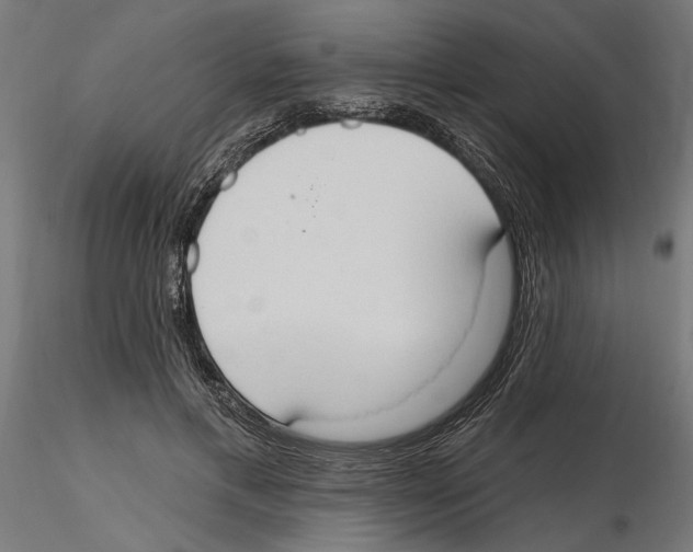 X0000116510597201001061225