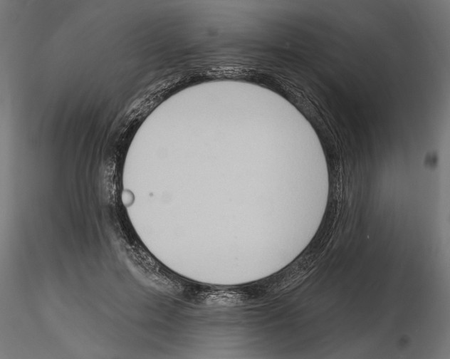 X0000116510599201001061224