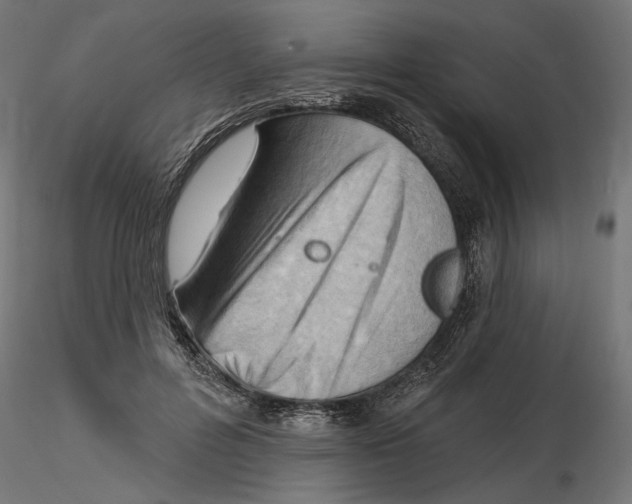 X0000116510600201001061224