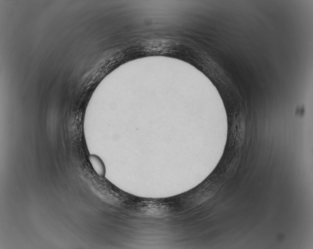 X0000116510601201001061224