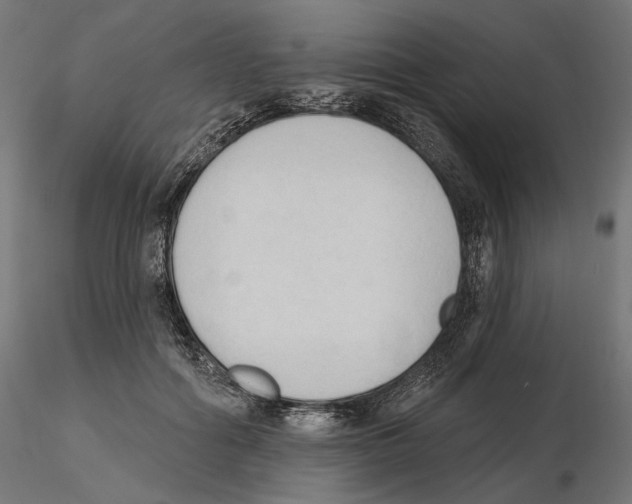 X0000116510602201001061224