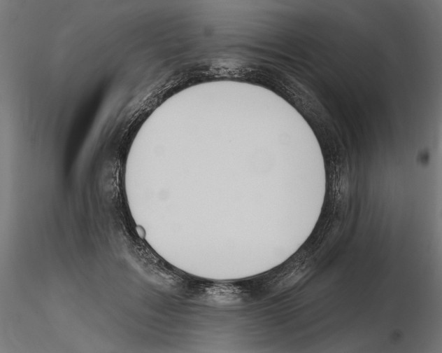 X0000116510603201001061224