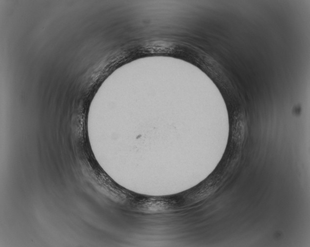 X0000116510604201001061224