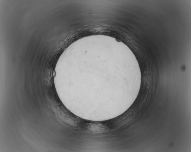 X0000116510605201001061224