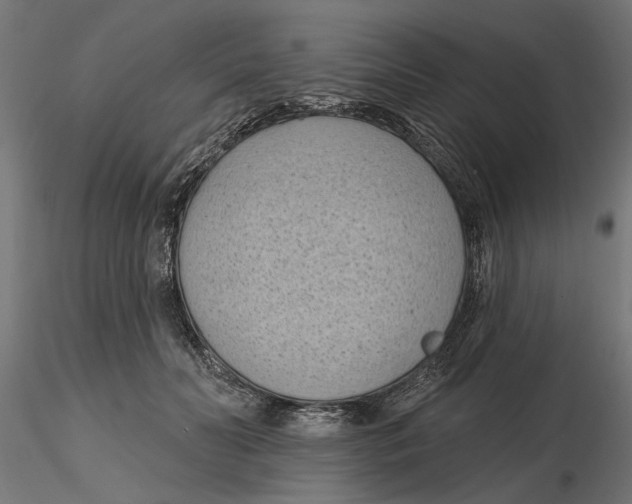 X0000116510606201001061224