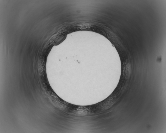 X0000116510608201001061224