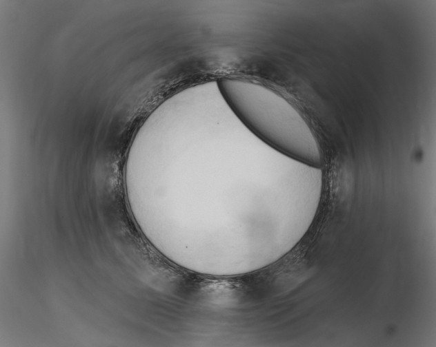 X0000116510611201001061224