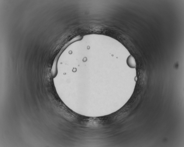X0000116510612201001061224