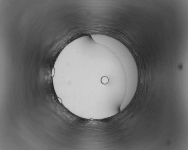 X0000116510617201001061224