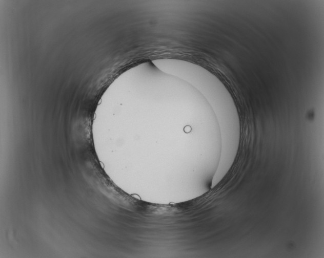 X0000116510621201001061224