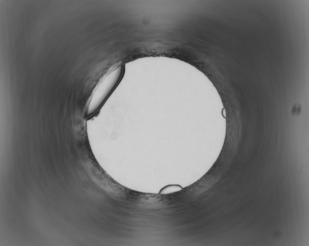 X0000116510624201001061224