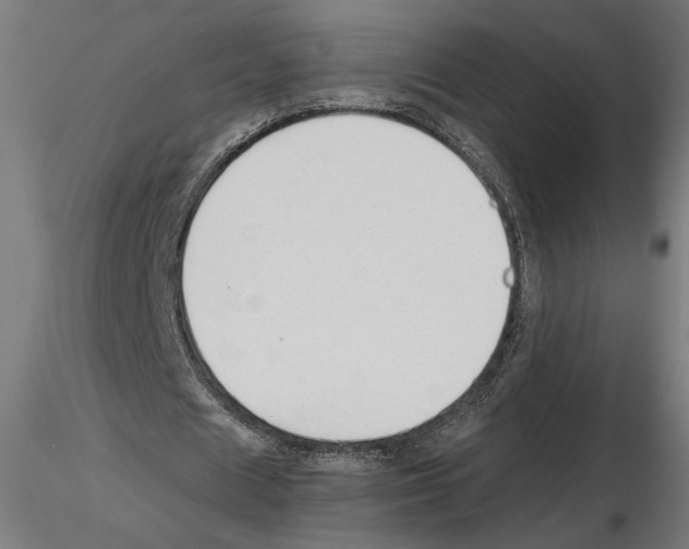 X0000116510625201001061223