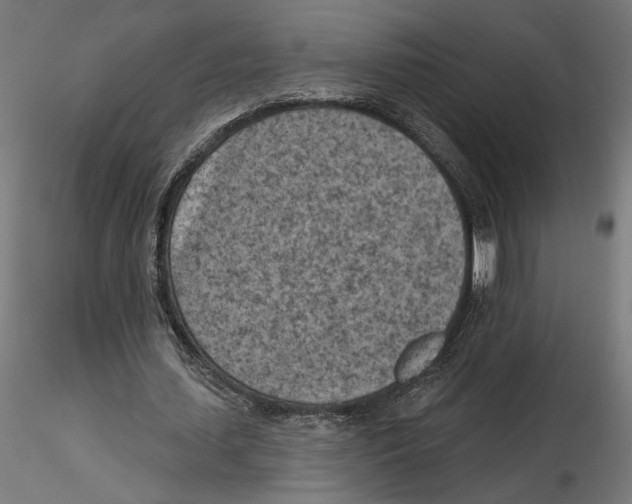 X0000116510627201001061224