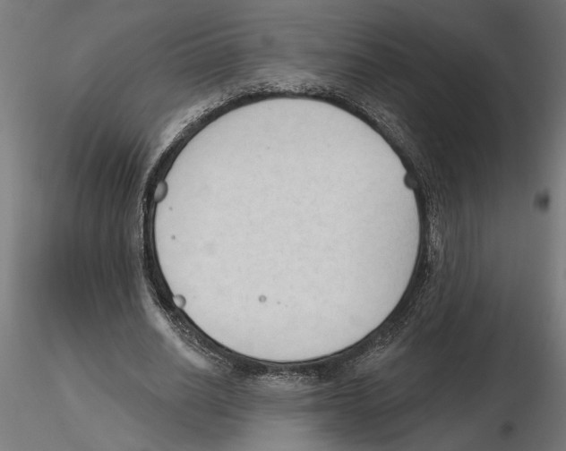 X0000116510630201001061224