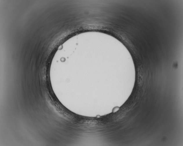 X0000116510631201001061224
