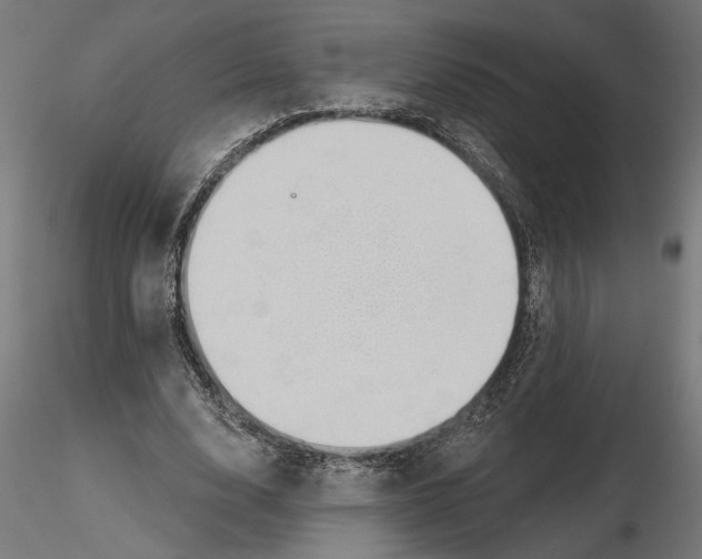 X0000116510632201001061224