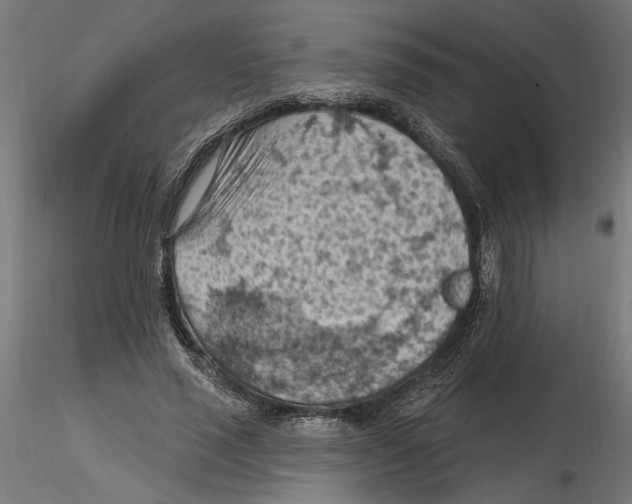X0000116510637201001061224