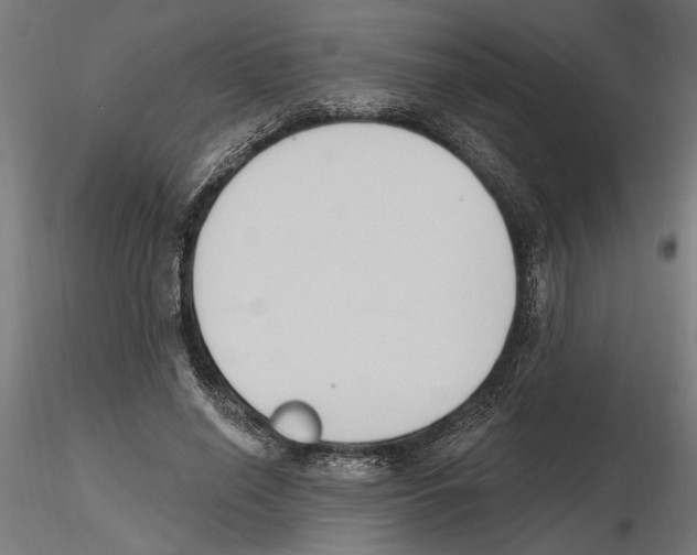 X0000116510638201001061224