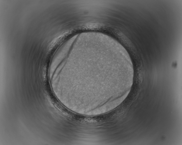 X0000116510640201001061224
