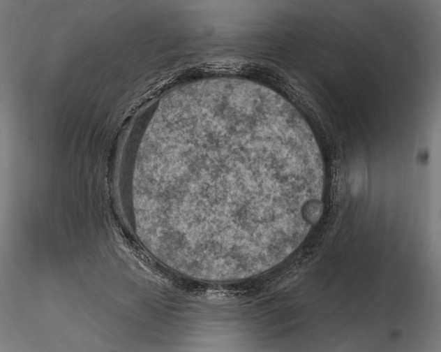 X0000116510641201001061224