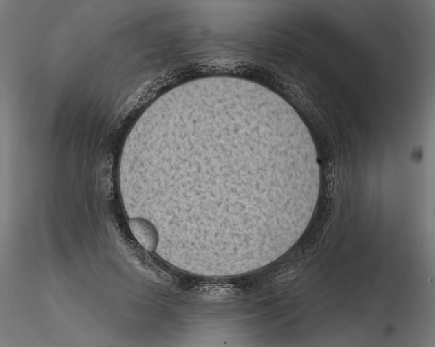 X0000116510642201001061224