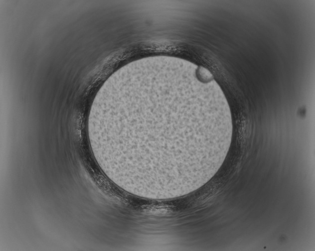 X0000116510643201001061224
