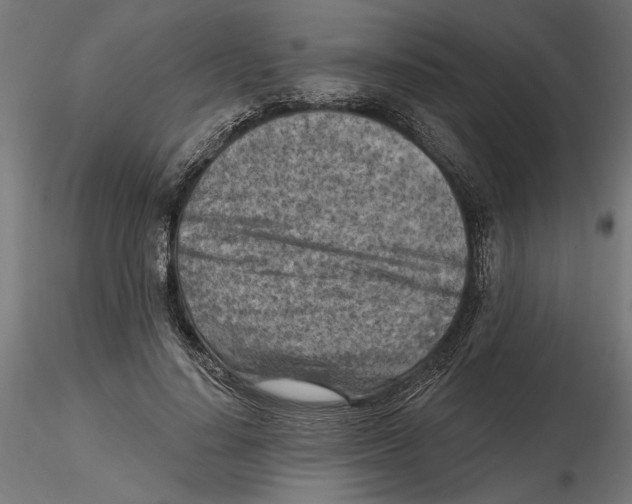 X0000116510644201001061224
