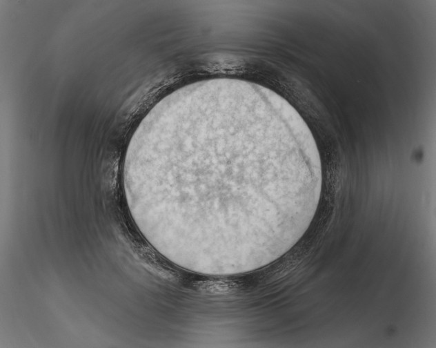 X0000116510652201001061224