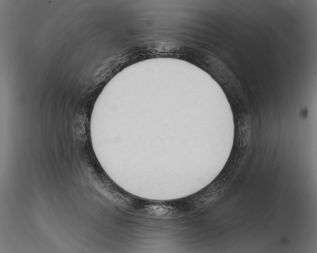 X0000116510654201001061224