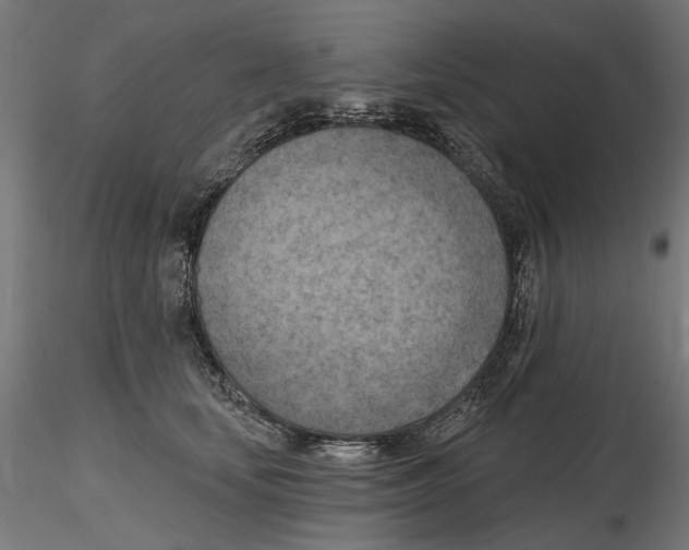 X0000116510659201001061224