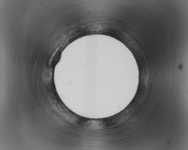 X0000116510660201001061224