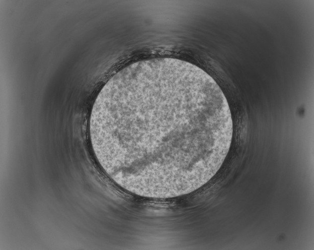 X0000116510661201001061224