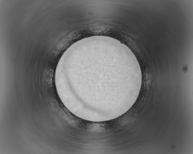 X0000116510664201001061224